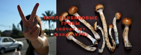 твердый Алексеевка