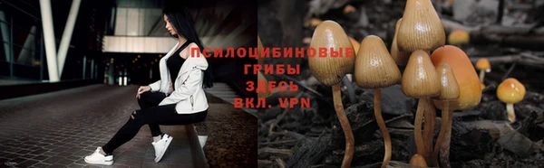 кокаин премиум Алексин
