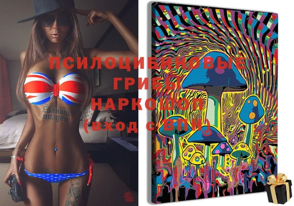 твердый Алексеевка