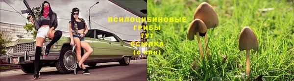 твердый Алексеевка