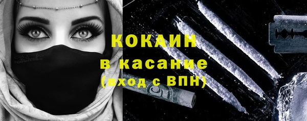 твердый Алексеевка
