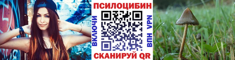 Галлюциногенные грибы Psilocybe  Полтавская 
